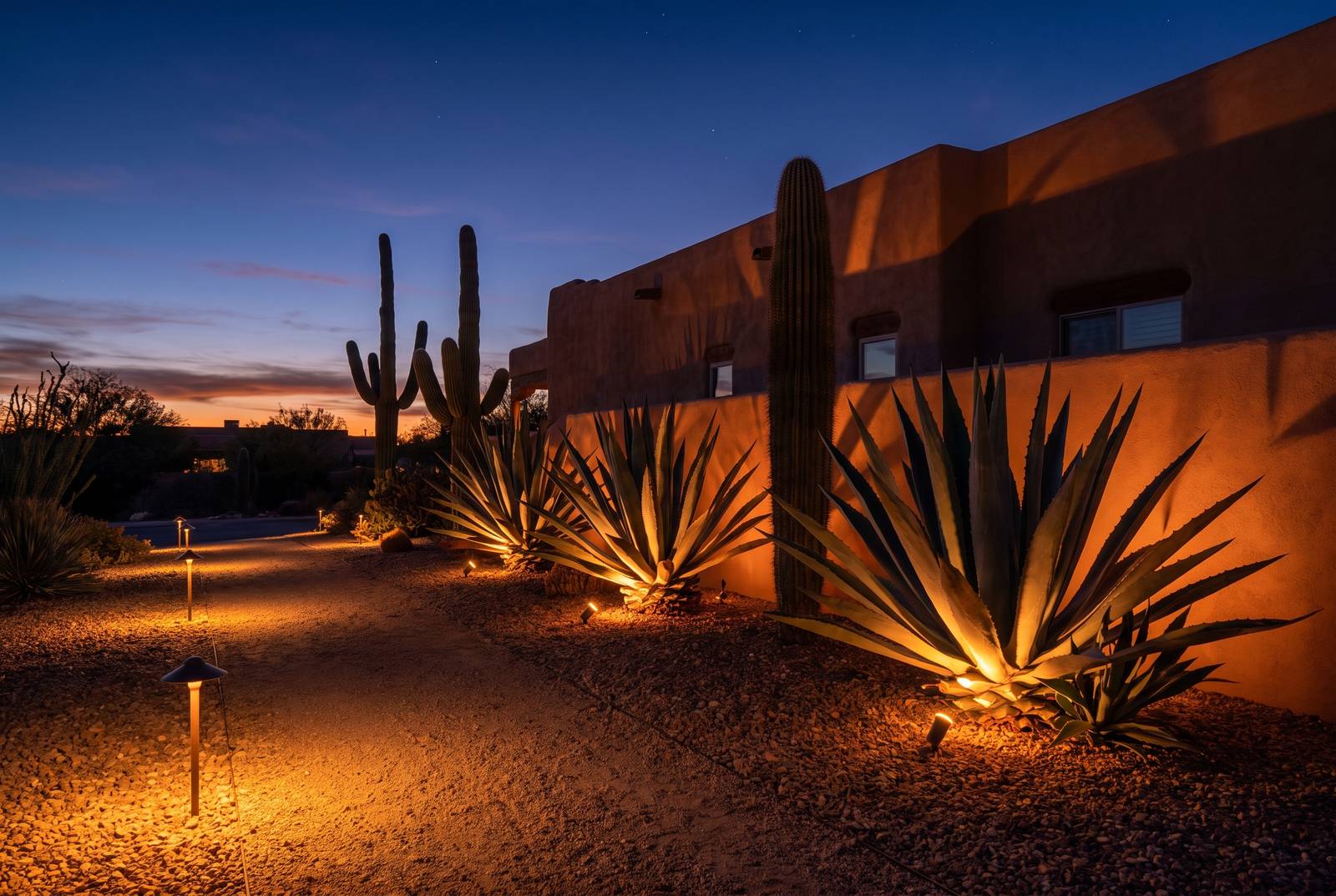 Desert landscape and path lighting at a Tucson home at dusk