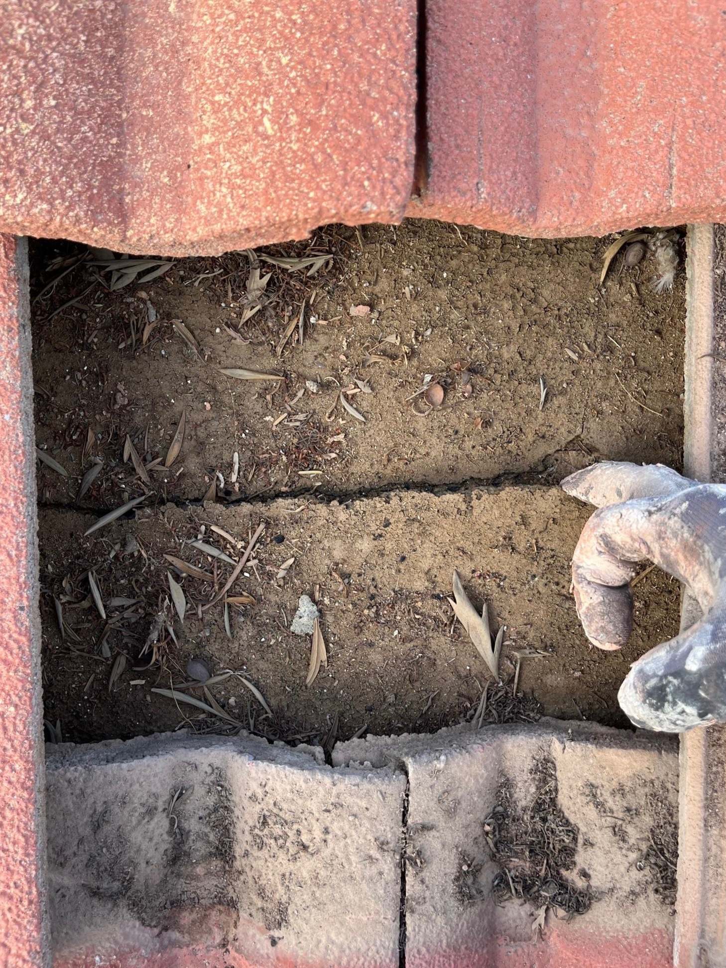 Roof Inspection