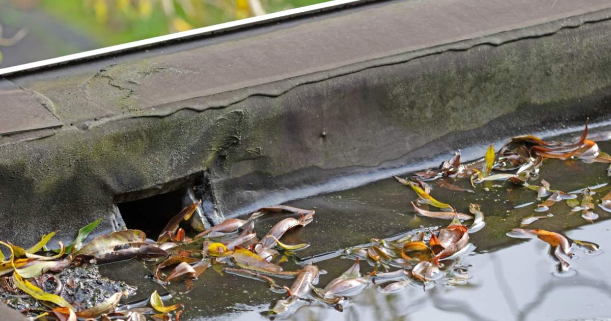 Flat roof drainage detail