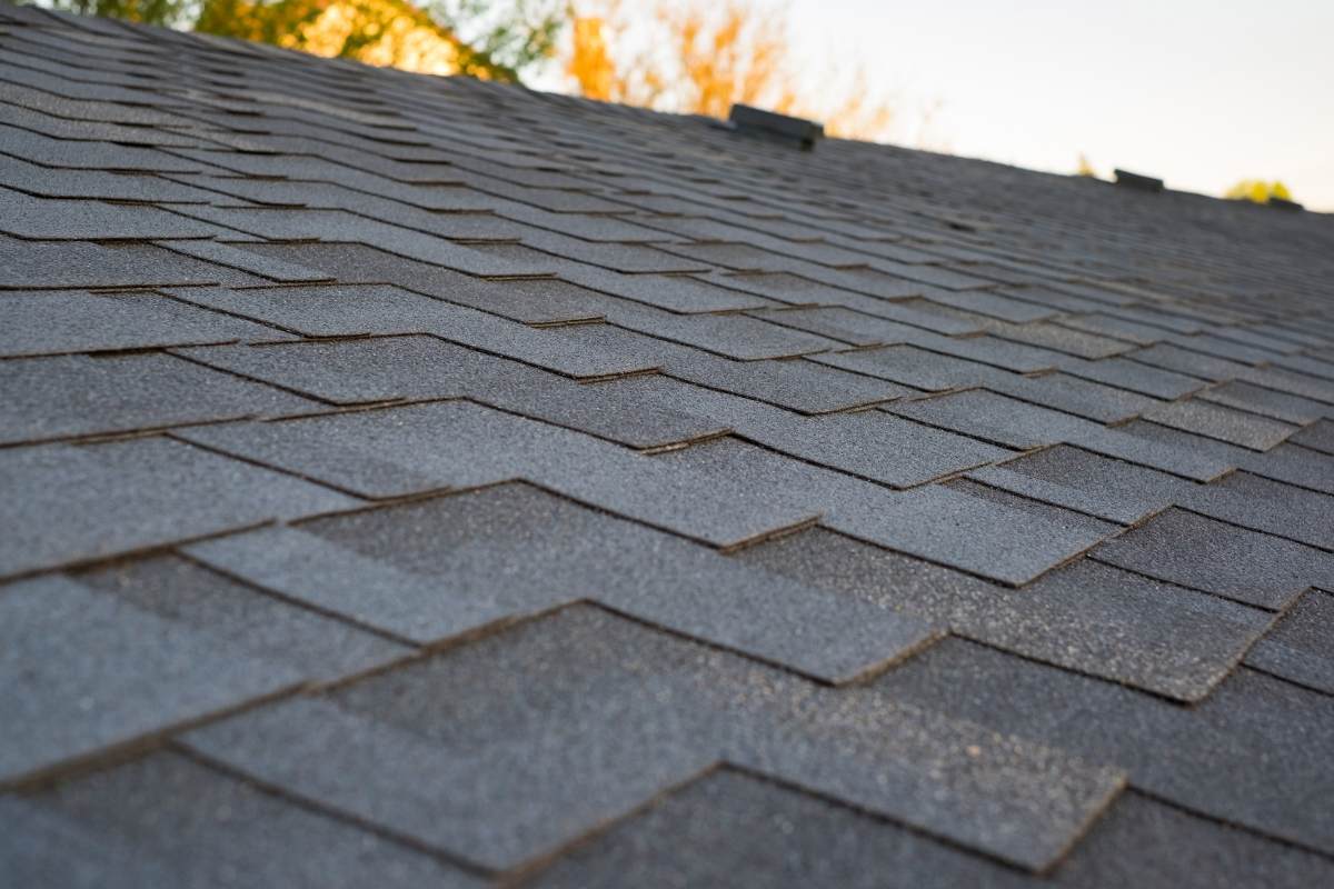 Shingle Roof Installation
